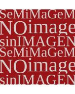 Revisitando a história colonial brasileira: balanço das realizações de um programa de cooperação Brasil-Portugal na área de arquivos