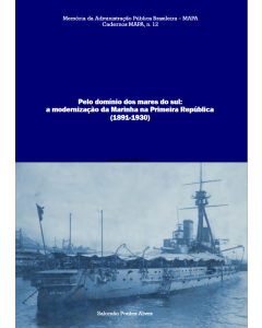 Pelo domínio dos mares do sul:a modernização da Marinha na Primeira República (1891-1930)